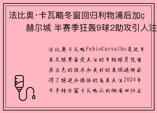 法比奥·卡瓦略冬窗回归利物浦后加盟赫尔城 半赛季狂轰9球2助攻引人注目 法比奥·卡瓦略冬窗回归利物浦后加盟赫尔城 半赛季狂轰9球2助攻引人注目